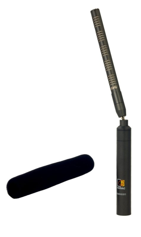 Audac CMX230 mini shotgun mikrofon m/XLR