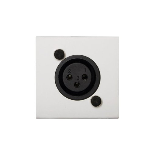Audac Mikrofoninput XLR 45x45 standard, vit