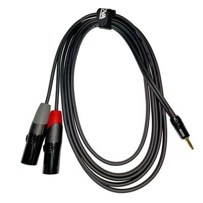 Enova adapter kabel MiniJack > 2 x XLR han