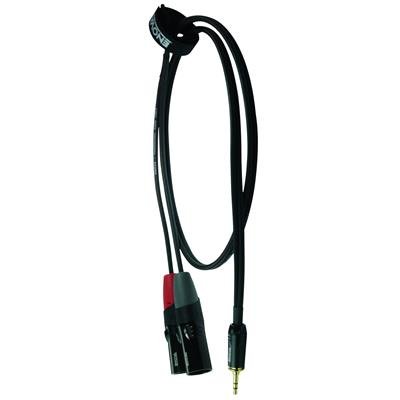 Enova adapter kabel MiniJack > 2 x XLR han