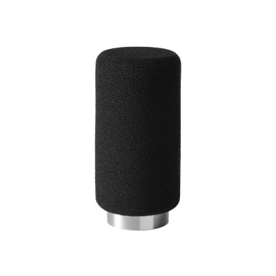 Earthworks Ethos Broadcast mikrofon XLR, St�l