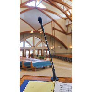 Earthworks FM500 svanehals mikrofon XLR, 48 cm