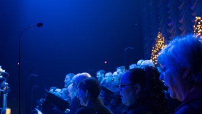 Earthworks FlexWand njure-mikrofon p� flexibel stativfot