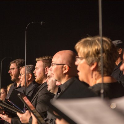 Earthworks FlexWand nyre-mikrofon p� flexibel stativfod