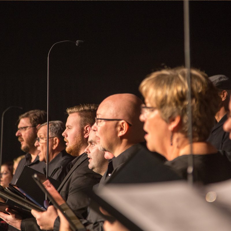 Earthworks FlexWand njure-mikrofon p flexibel stativfot