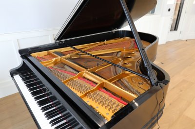 Earthworks PM40, Piano Mikrofon System til 48V Phantom