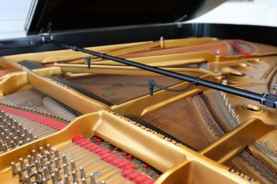 Earthworks PM40, Piano Mikrofon System til 48V Phantom