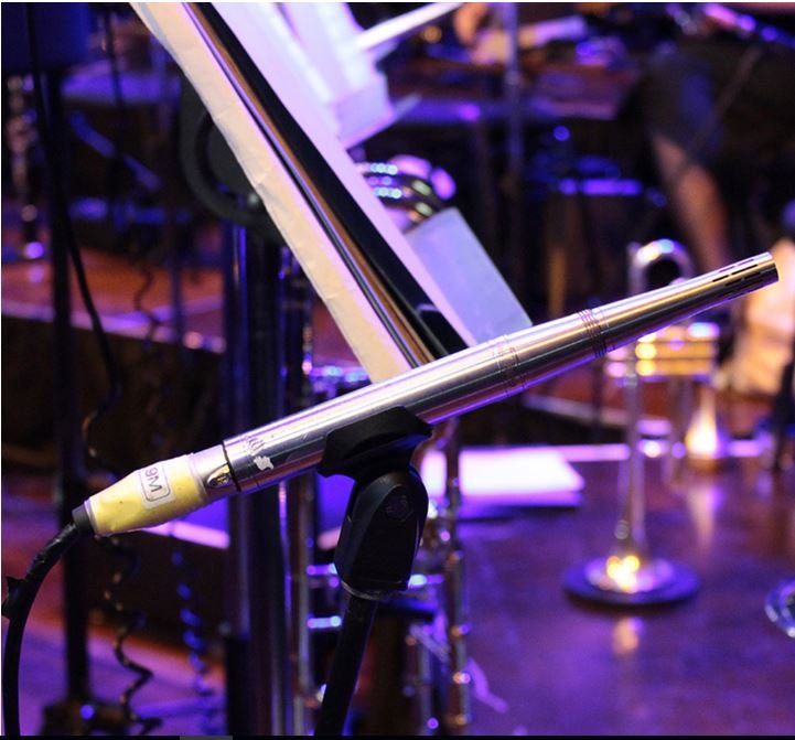 Earthworks SR30 mikrofon til instrument, matchet par