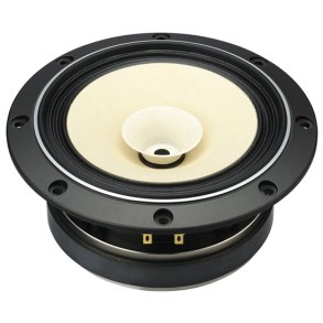 Fostex full range speaker 6,5