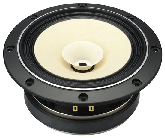 Fostex full range speaker 6,5