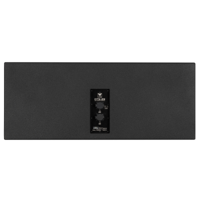 Passive 2-way line array module 2X10