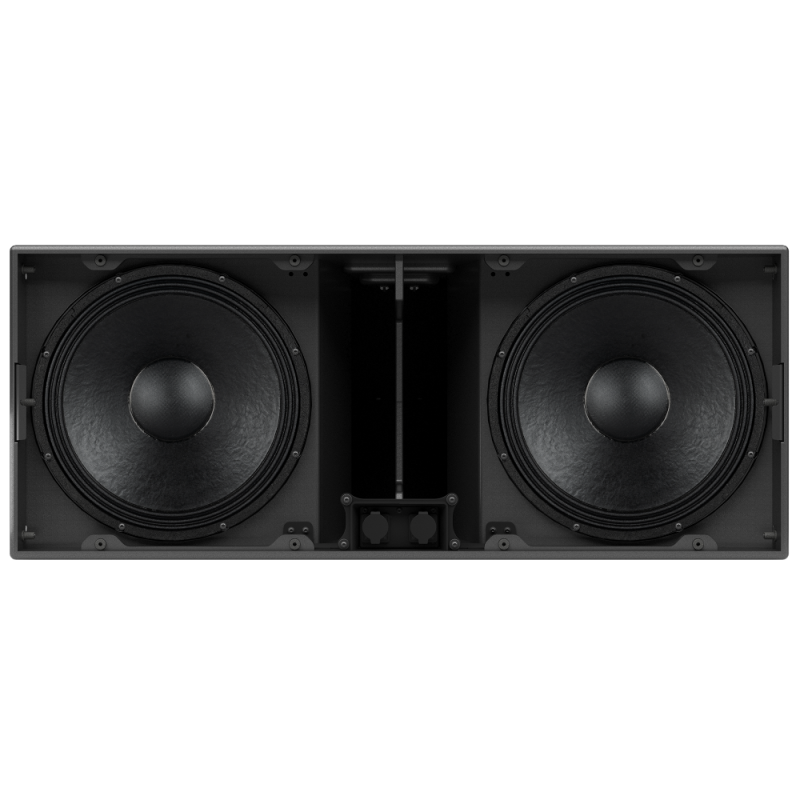 Passive 2-way line array module 2X10