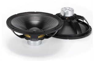 RCF hjttalerenhed MB15N301 15