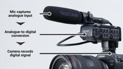 Tascam CA-XLR2D mikrofonadapter til kamera, Analog input