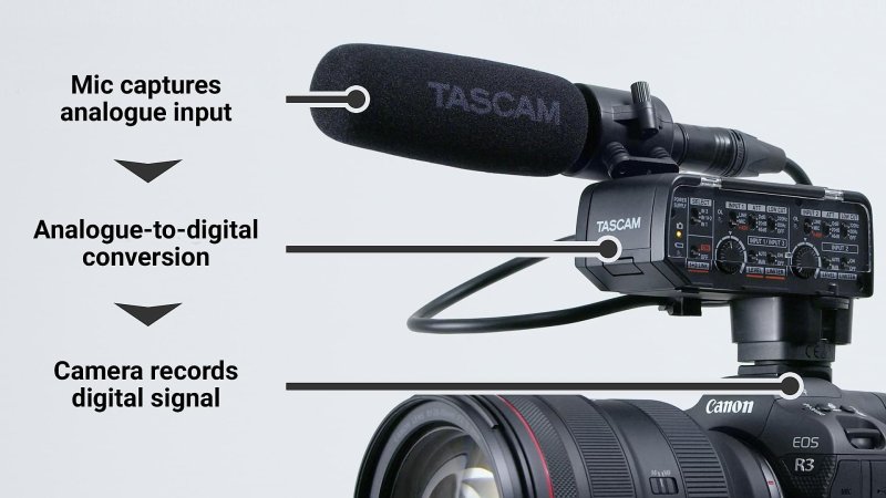 Tascam CA-XLR2D mikrofonadapter til kamera, Analog input