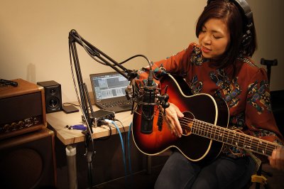 Tascam TM-AM2 studio mikrofonarm 